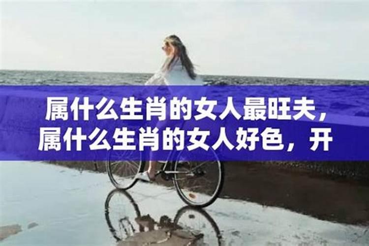 什么生肖喜欢看美女