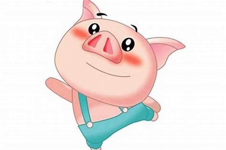 属猪的吉祥物是什么最好