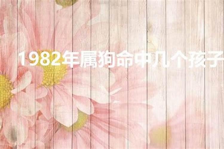 82年属狗命中几个孩子