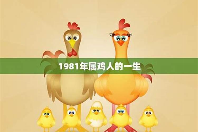 1981年属鸡一生有几次大灾