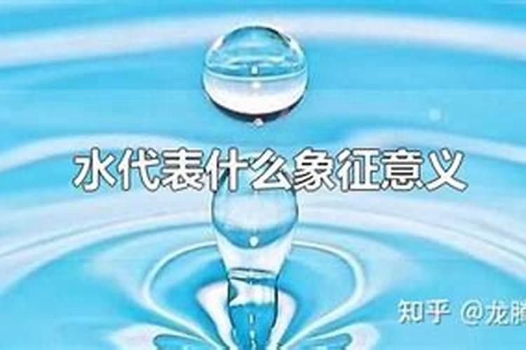 水代表什么生肖