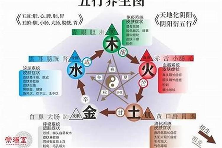 五行金旺缺木取名