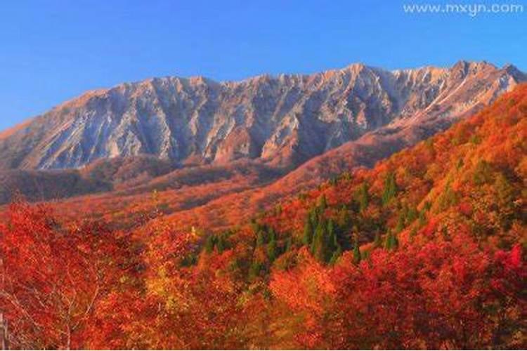 梦见大山是什么意思好不好