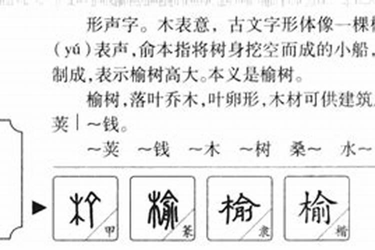 米字五行属什么