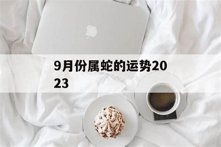 9月份属蛇人运程如何