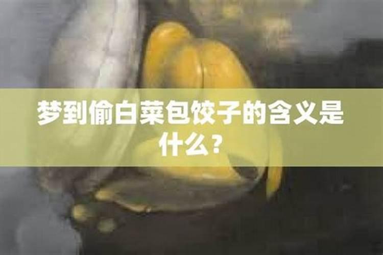 做梦梦见偷白菜