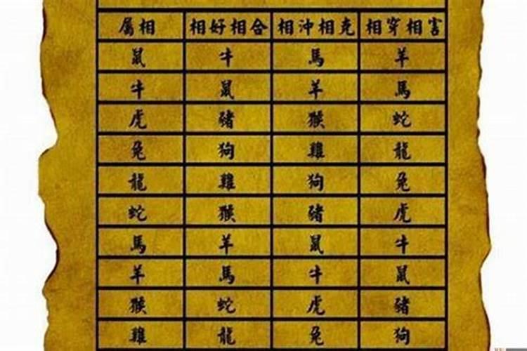 12生肖姻缘配对大全