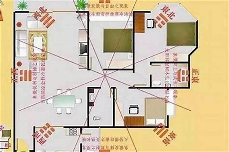 属猴的住什么房子