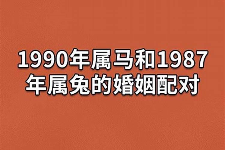 1987年属兔男和1990年属马女