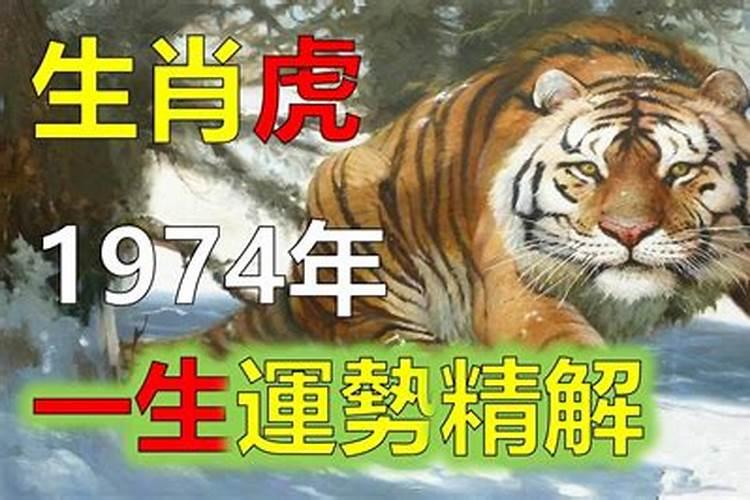 1974男虎10月出生终身运势