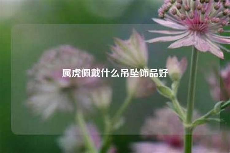 属虎的佩戴什么吊坠好