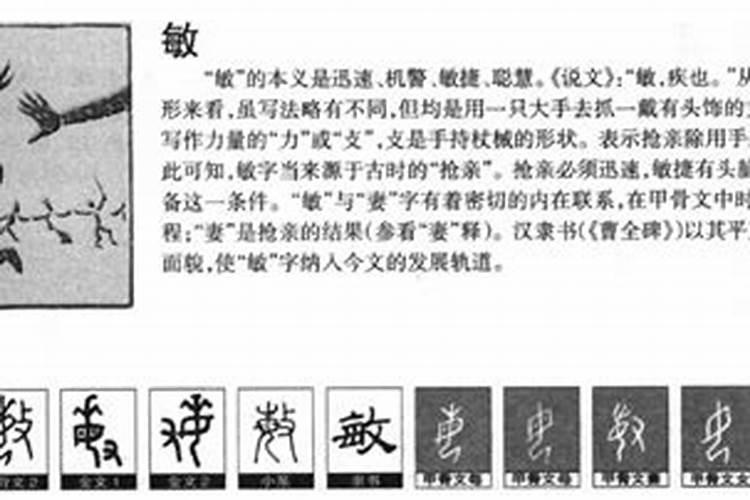 敏字五行属什么,有什么意