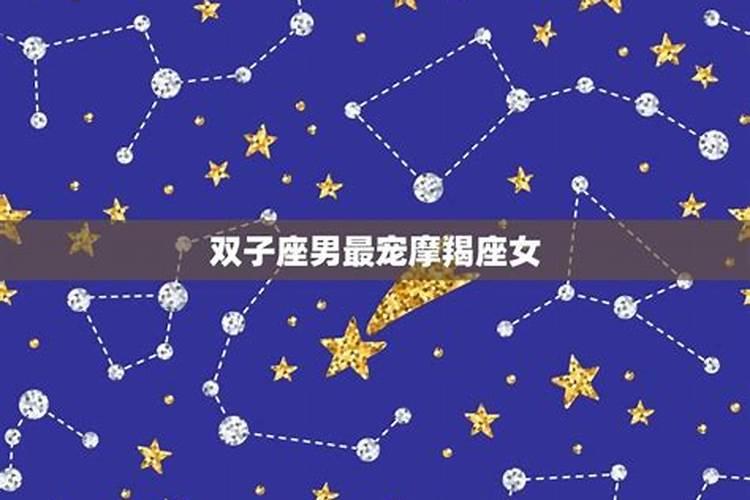 宠双子座是什么星座