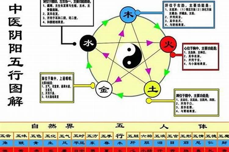 硕五行属性是什么字