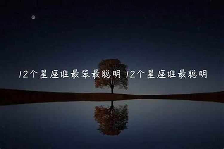 12星座谁最聪明谁最笨的视频