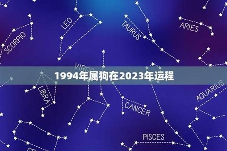 偏印格喜水木2023年运势