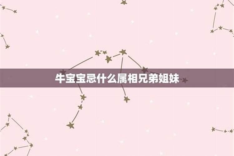 兄弟姐妹相克的属相