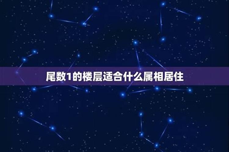 12星座住什么房