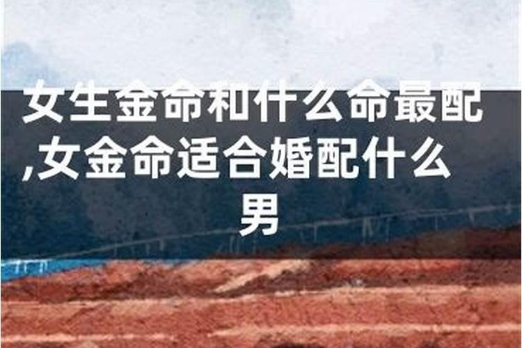 梦见钓到鱼是什么预兆是什么码