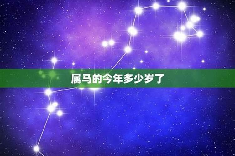 属马的今年多大岁数2023年8月出生