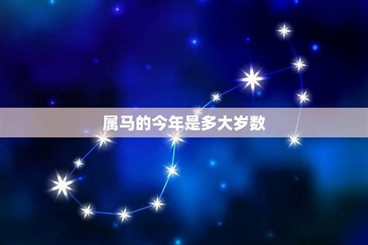 属马的今年多大岁数2023年8月份