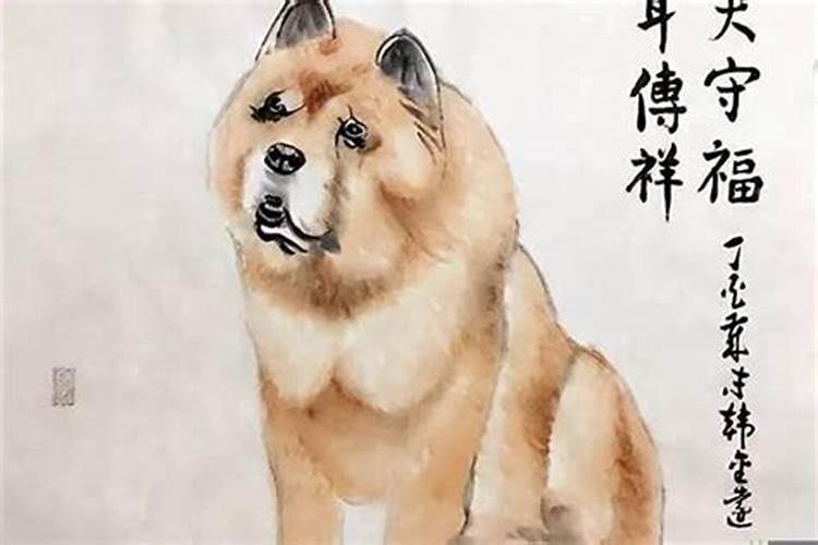 2023猪冲太岁怎么化解