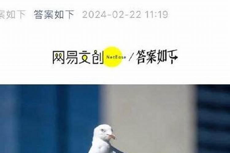 本命年为什么不能穿红色内裤