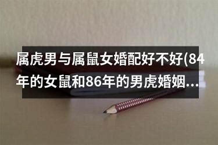 1984属鼠和86年的虎结婚怎么样好吗