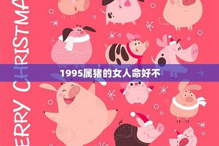 1995属猪的女人旺夫吗最佳婚配对象介绍(2)