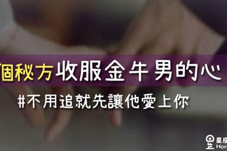 如何收服金牛男攻略