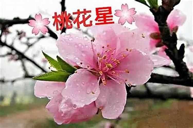 八字带桃花的人特点