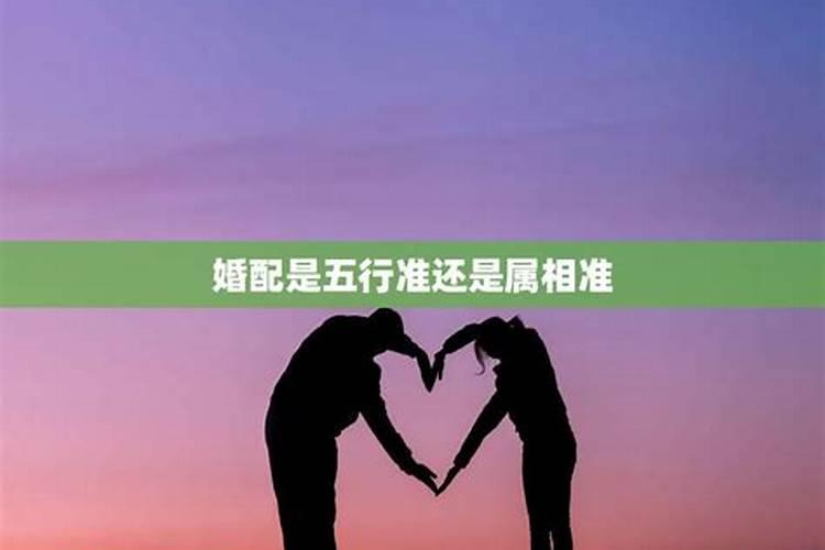 婚配是按五行还是属相