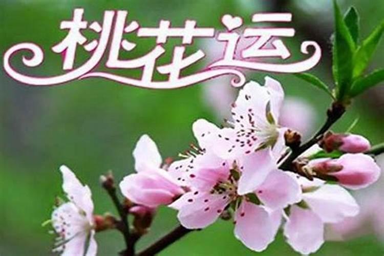 八字带桃花但现实没有