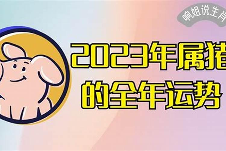 2023年属猪人运势及运程如何