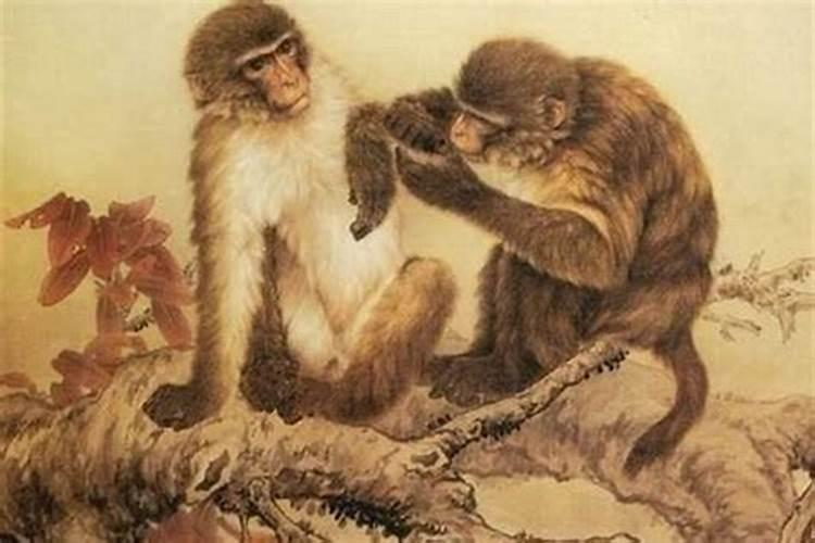 1980年12月男猴运势一生