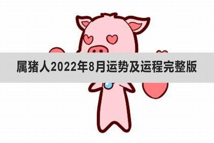 属猪感情运势2020