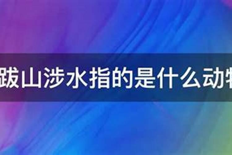 跋山涉水代表什么生肖