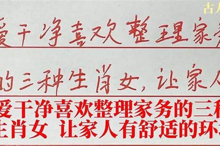 喜欢做家务的生肖