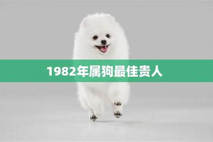 1982年属狗的事业贵人属相