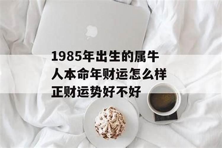 1985牛年本命年运势