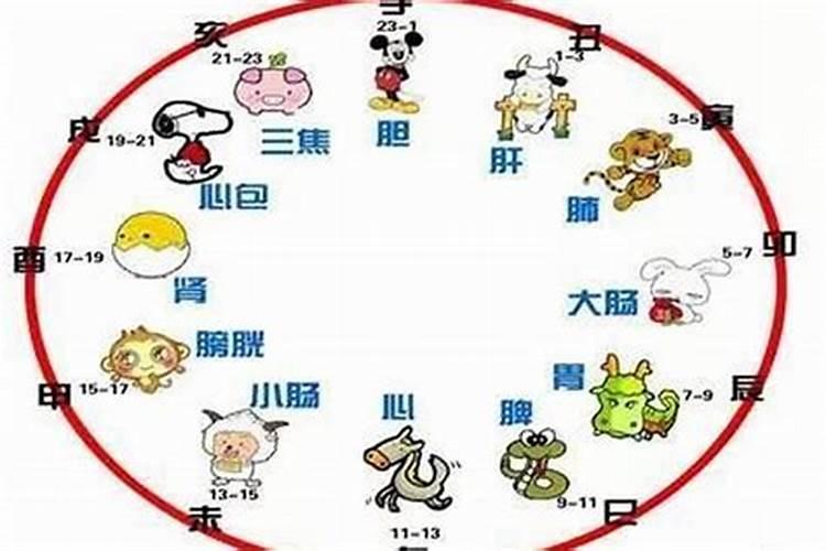 梦见生猪肉是什么意思