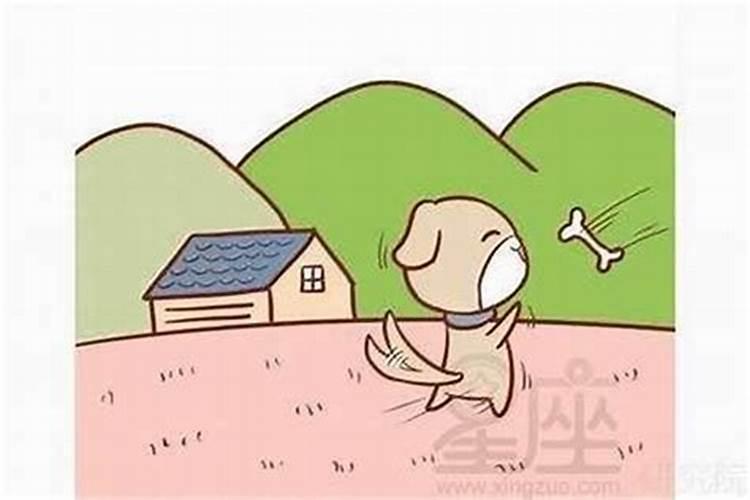 太岁逢利事是什么