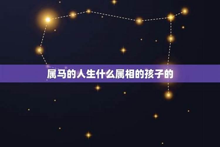 属马数羊的生属什么宝宝最好