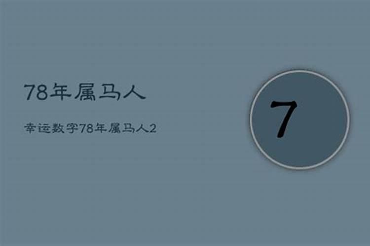 2021年属马的幸运吉祥数字