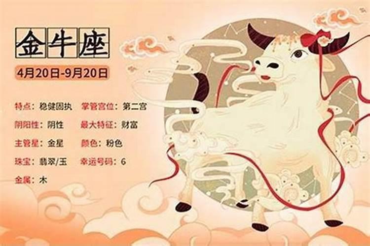 金牛座今年的学业运