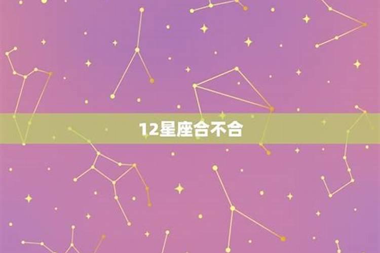 12星座合不合