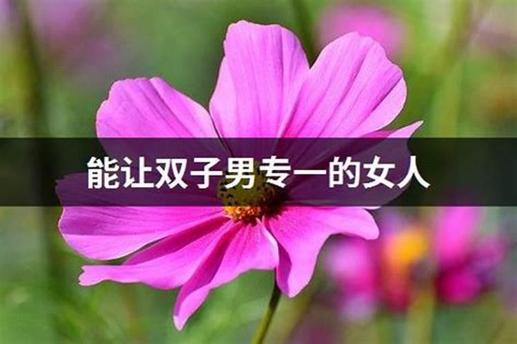 a型双子男优点和缺点