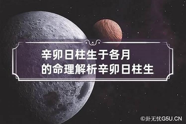 八字辛卯日柱看婚姻的情况