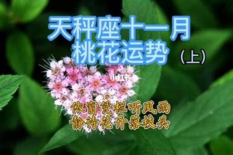 天秤座十一月的桃花运势2022年