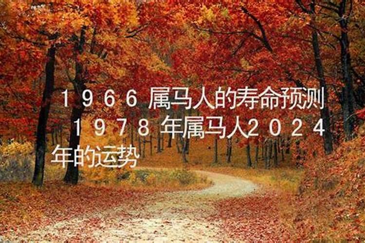 1966年出生的今年的运势